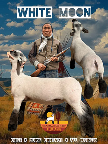 White Moon